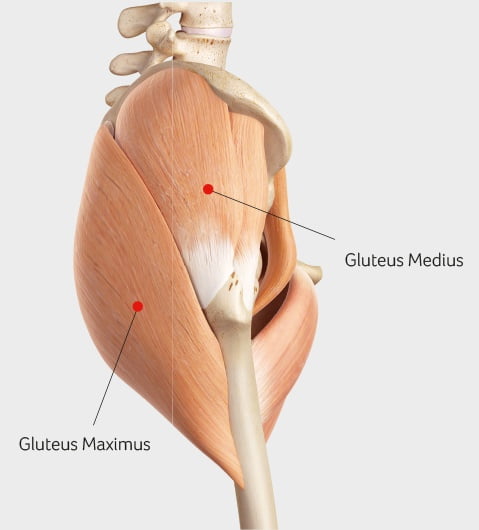 Gluteal Tendinopathy How It Feels Causes And Tips To Help