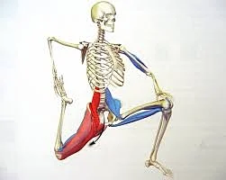 Preventing Psoas Pain