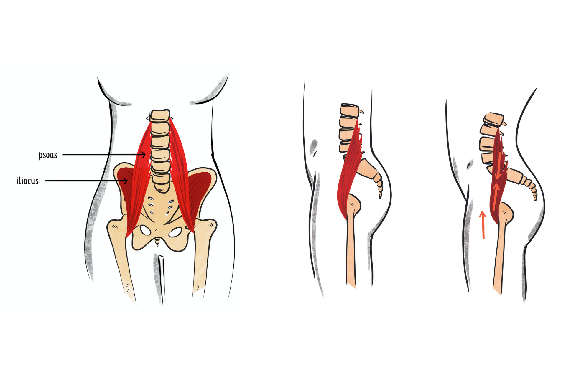 Relieve Back Pain: Fix Pelvic Tilt with Posture Tips