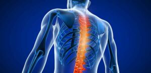 Understanding Thoracic Anatomy and Spine