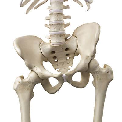 Tilted Pelvis Pain: Relief and Rehabilitation | PhysioMantra