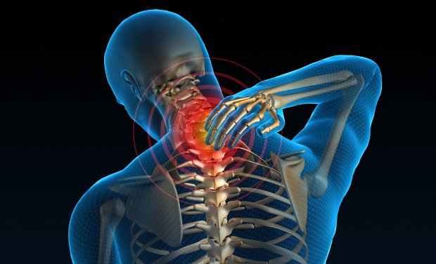 Lower Back And Neck Pain: Causes, Symptoms And Treatment