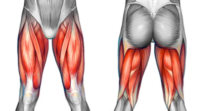 Front Thigh Pain
