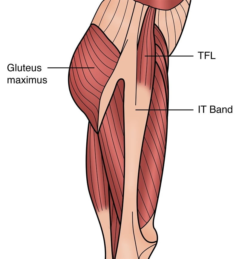 Tensor Fasciae Latae Pain: Signs and Treatment Methods