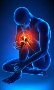 The Anatomy Behind the Connection (Back And Knee Pain)