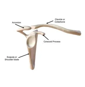 Understanding AC Joint Pain