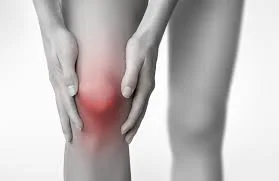 Understanding Medial Knee Pain