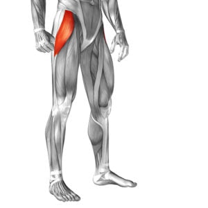 Understanding the Anatomy of the Iliotibial Band