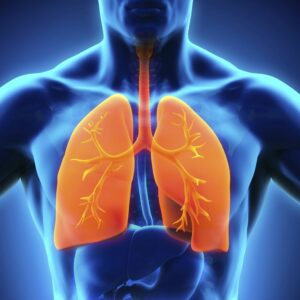 Understanding the Mechanics of Breathing