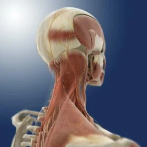 Is Neck Pain Common In Rheumatoid Arthritis?