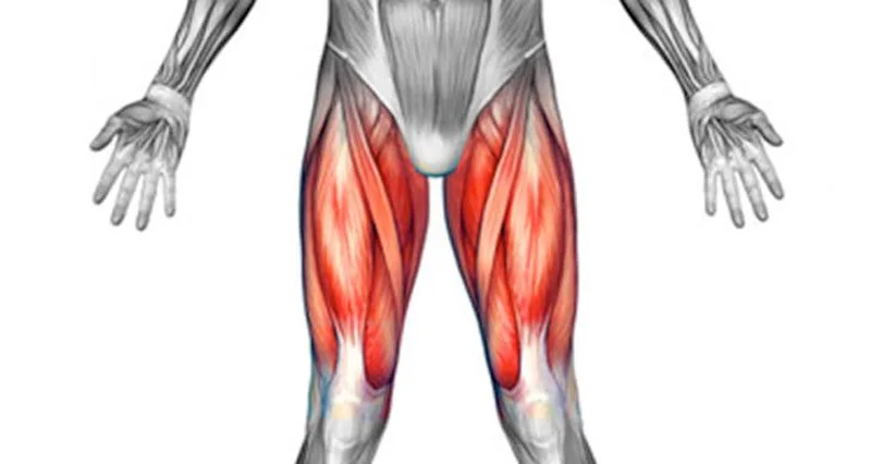 Injury Prevention and Management
