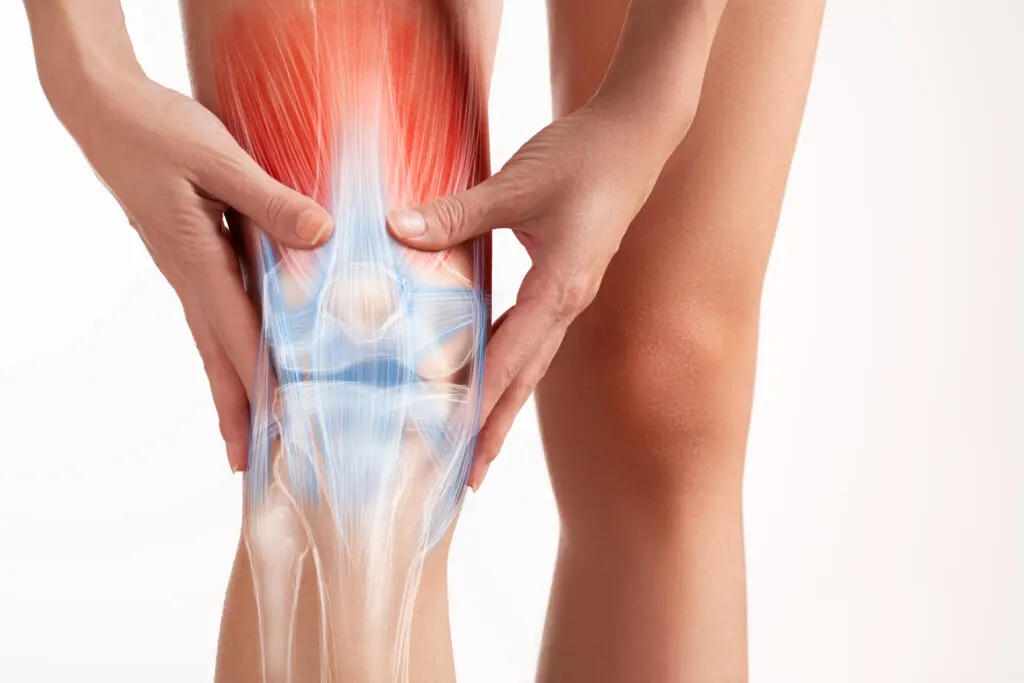 medial collateral ligament pain