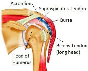 Understanding Acromion Pain, Its Causes And Treatment