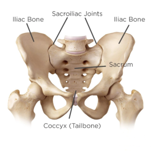 Benefits of SI Joint Physical Therapy