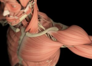 Challenges Faced in Muscular Dystrophy Physical Therapy