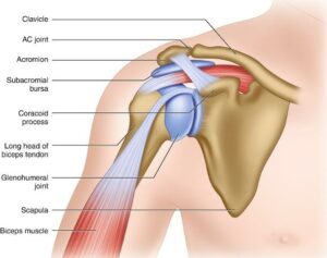Common Symptoms of Acromion Pain