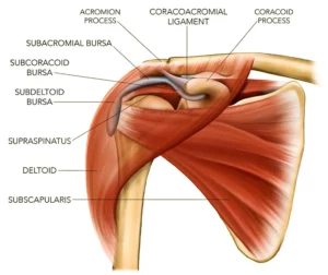 Diagnosing Acromion Pain