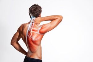 Finding the Right Neck Pain Specialist