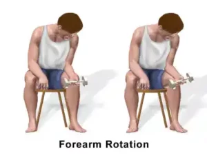 Forearm Rotation