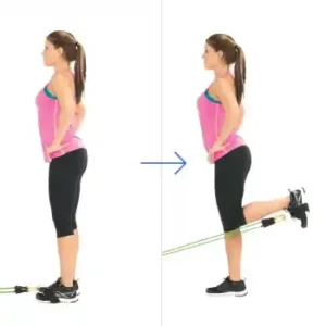Hamstring Curls