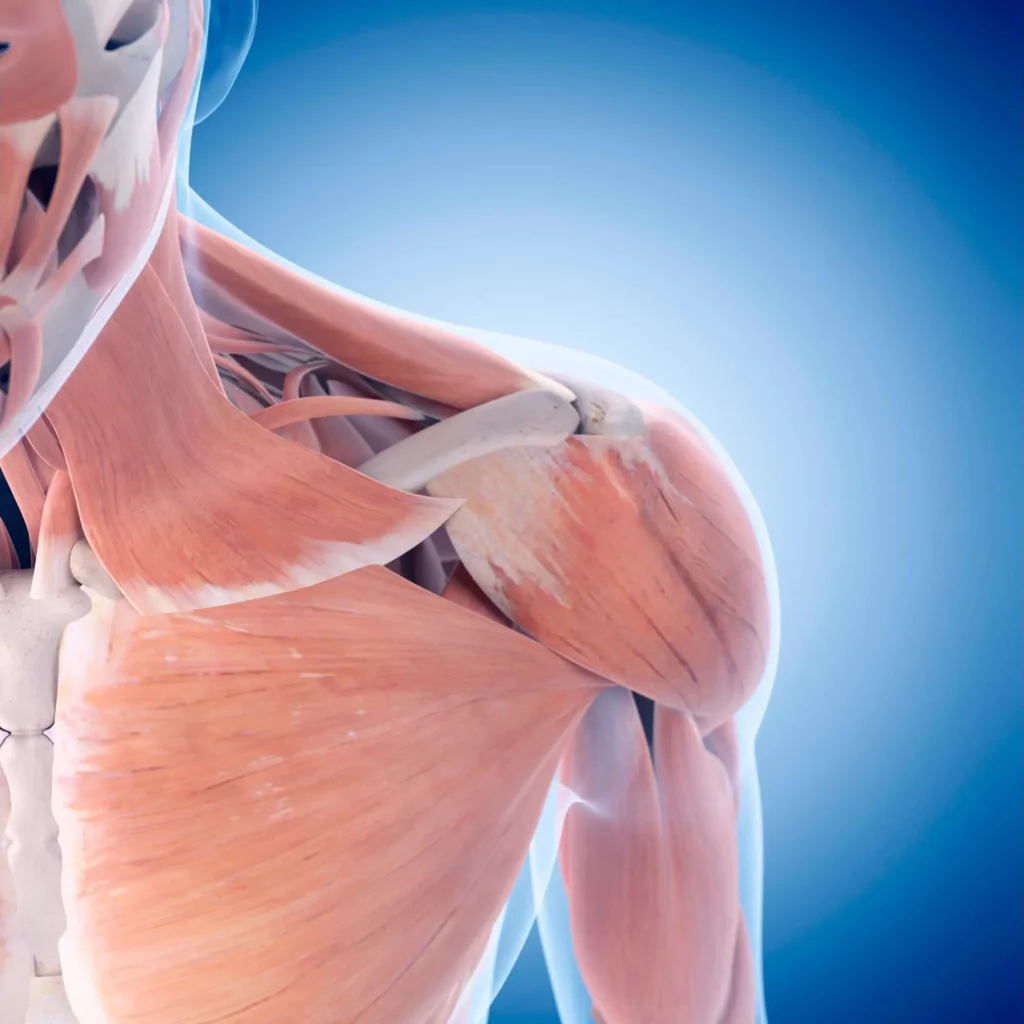 Unlocking Relief: How A Shoulder Pain Specialist Can Help?