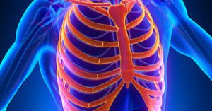 Physical Therapy Sessions for Costochondritis