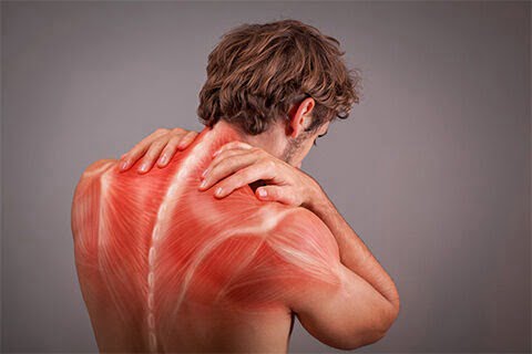 Shoulder Pain Causes : Understanding the Causes and Solutions