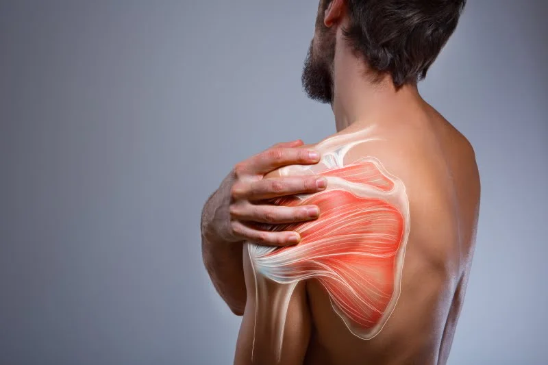 Shoulder Scapula Pain: Signs, Causes and Treatment